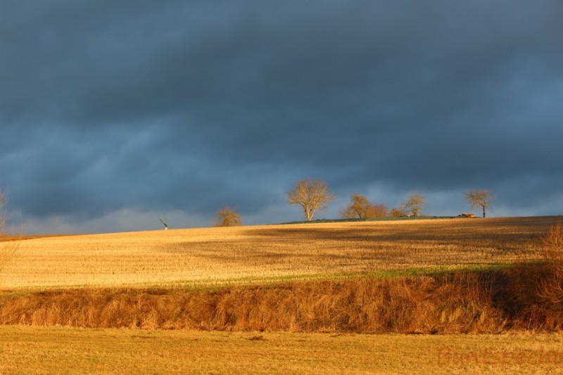 Bildla Nummera 014.jpg