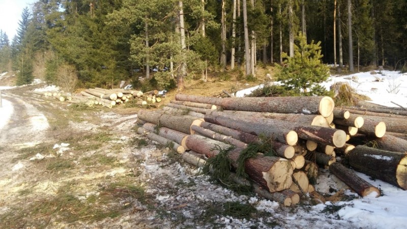 20170303_161902 (Medium) (Andere).jpg