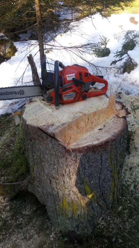 20170303_145544 (Medium).jpg