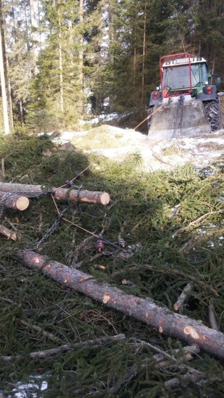 20170303_091829 (Medium) (Andere).jpg