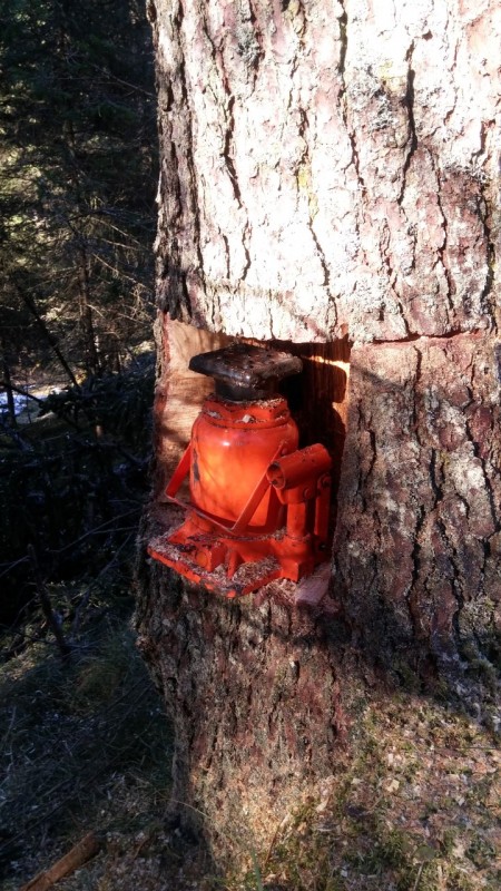 2017-03-04 09.10.39 (Andere).jpg