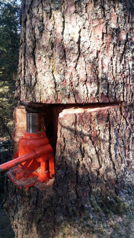 2017-03-04 09.13.51 (Andere) (2).jpg