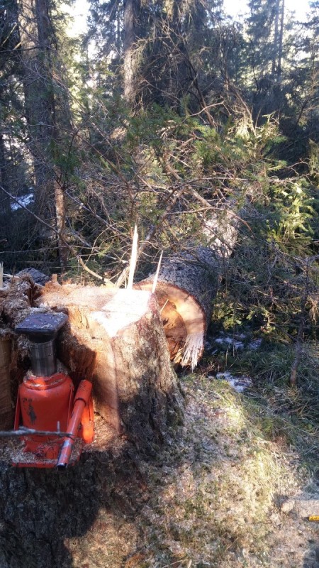 2017-03-04 09.14.20 (Andere) (2).jpg