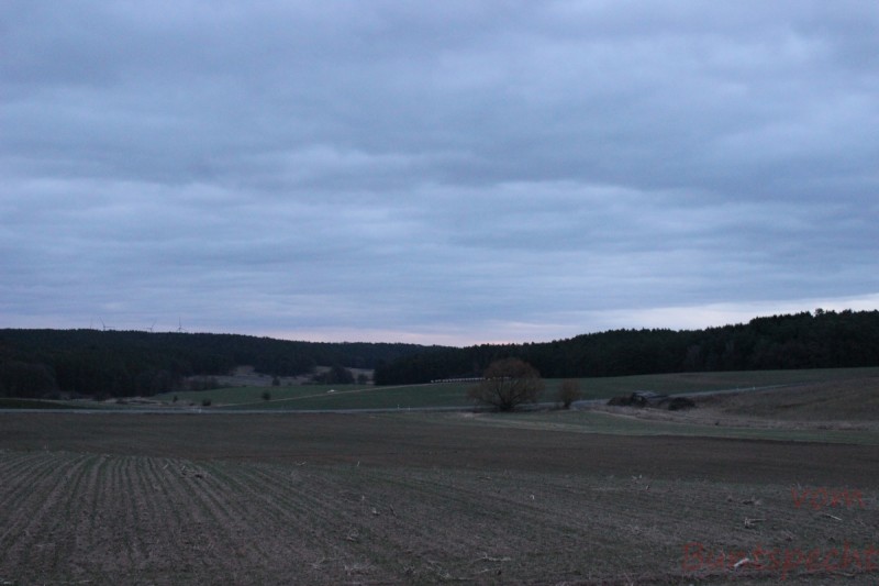 Bildla Nummera 001.jpg