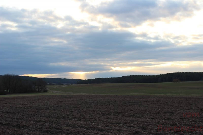 Bildla Nummera 003.jpg