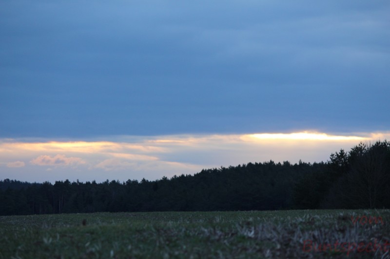 Bildla Nummera 004.jpg