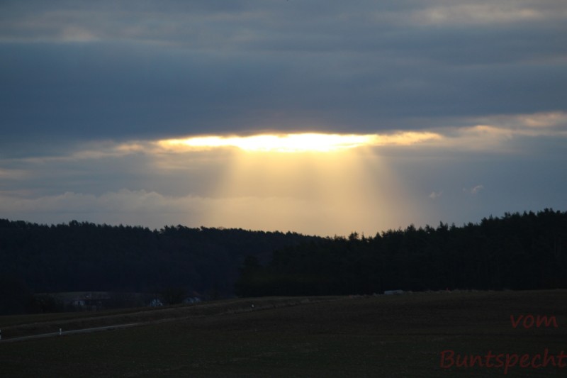 Bildla Nummera 007.jpg