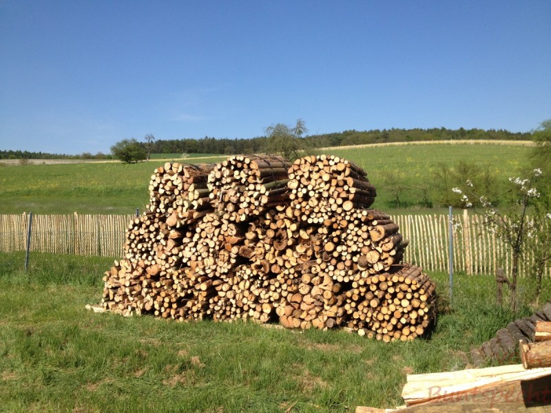 Bildla Nummera 007.jpg