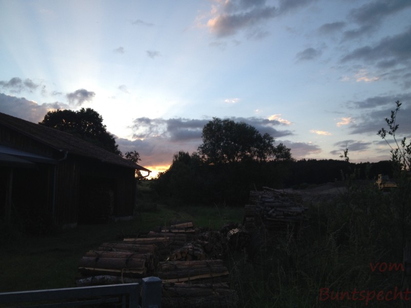 Bildla Nummera 013.jpg