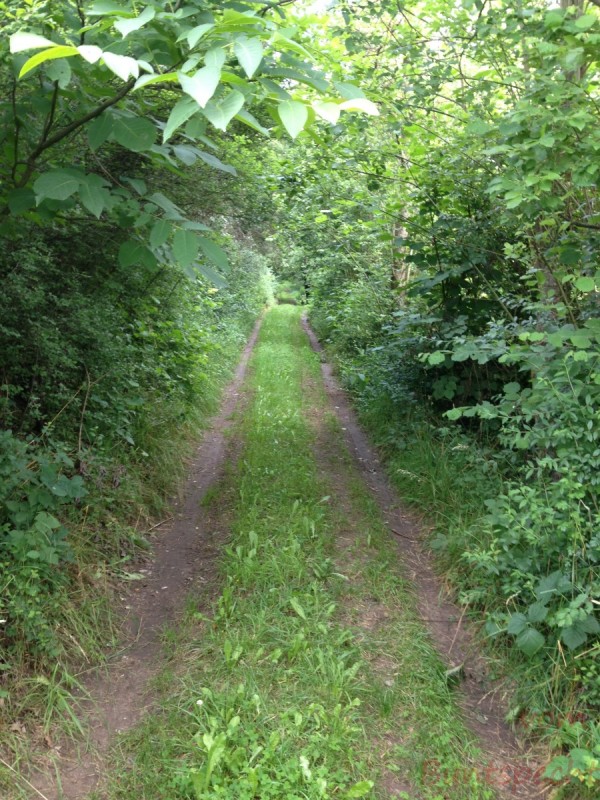 Bildla Nummera 016.jpg