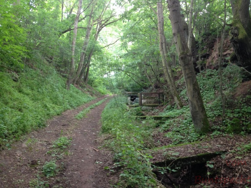 Bildla Nummera 017.jpg