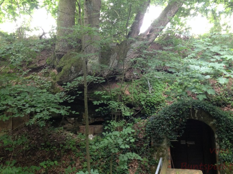 Bildla Nummera 019.jpg