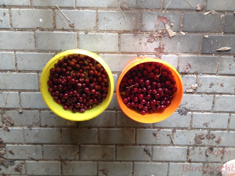 Bildla Nummera 020.jpg