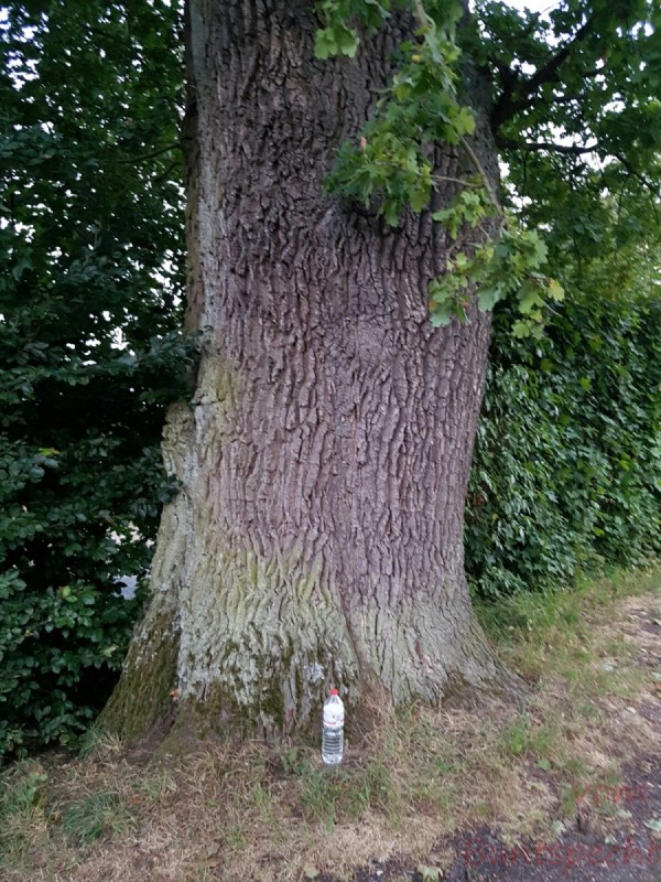 Bildla Nummera 032.jpg