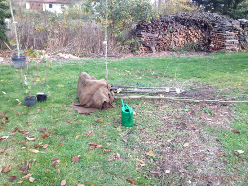 Bildla Nummera 040.jpg