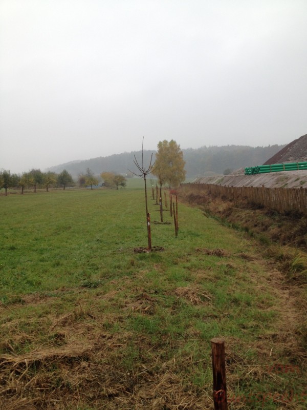 Bildla Nummera 041.jpg