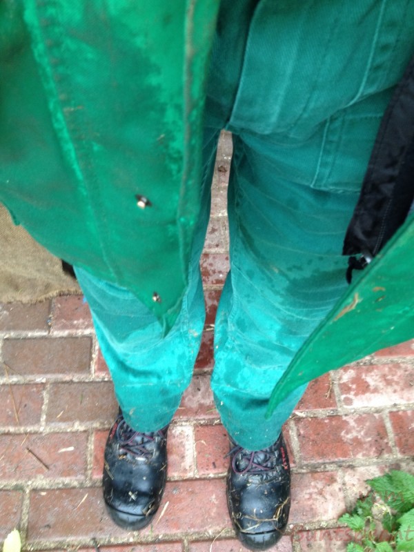 Bildla Nummera 042.jpg