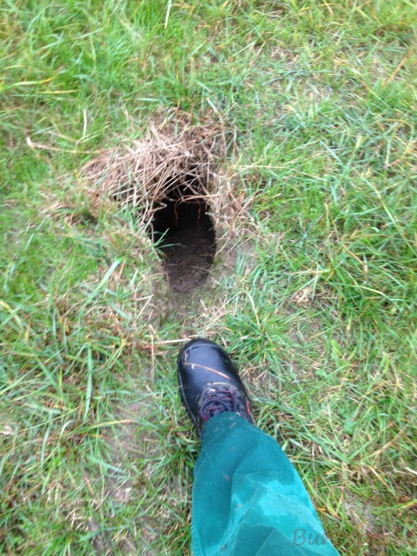 Bildla Nummera 043.jpg