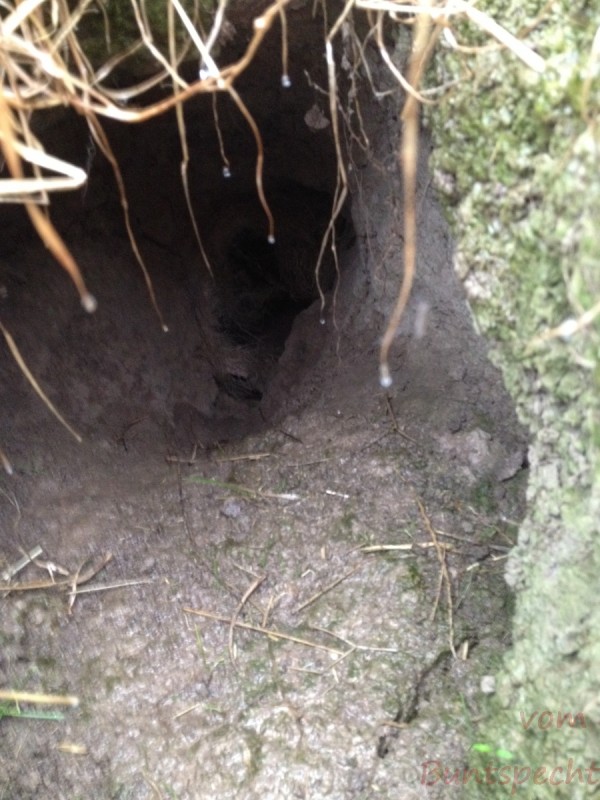 Bildla Nummera 044.jpg