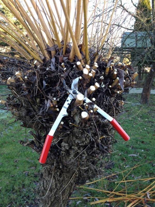 Bildla Nummera 045.jpg