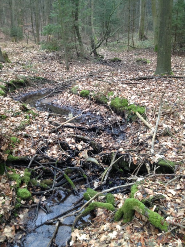 Bildla Nummera 048.jpg