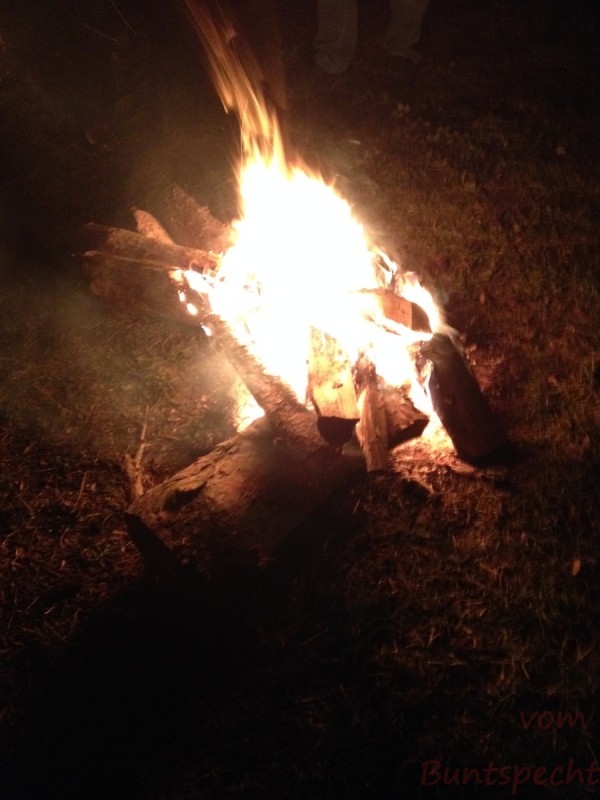 Bildla Nummera 050.jpg