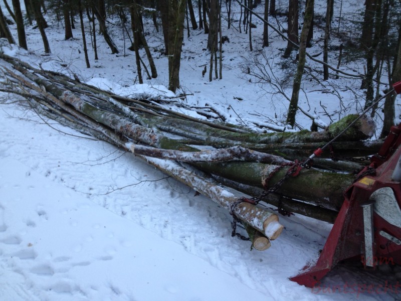 Bildla Nummera 056.jpg