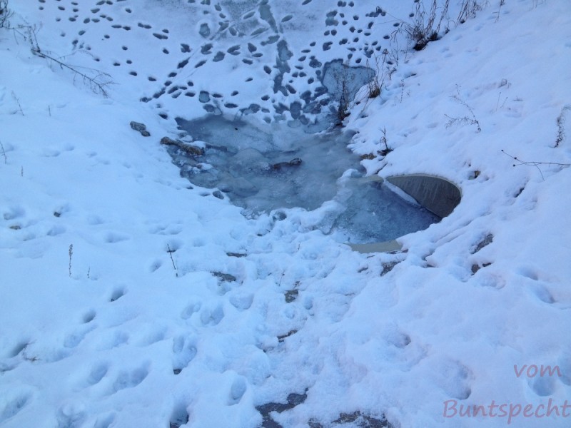 Bildla Nummera 061.jpg