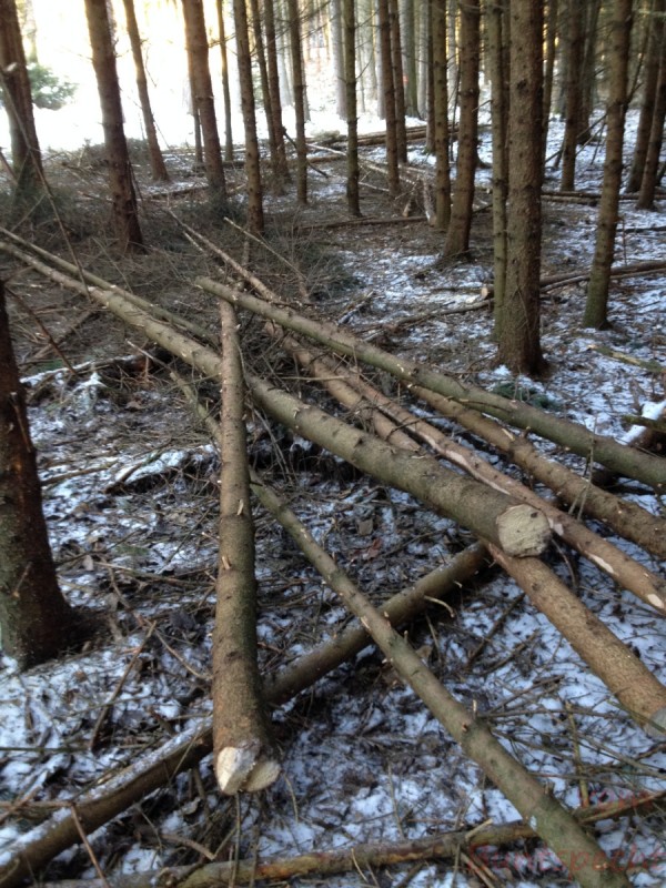 Bildla Nummera 062.jpg