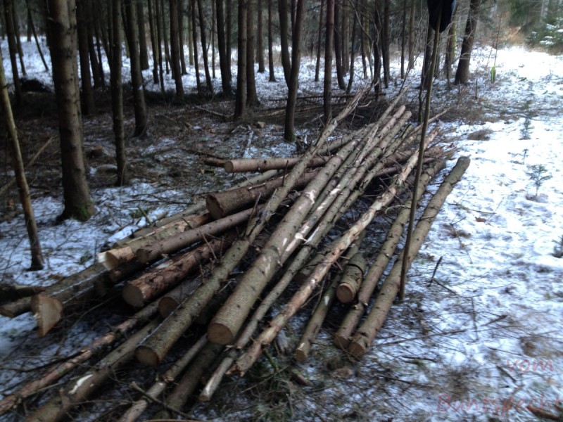 Bildla Nummera 064.jpg