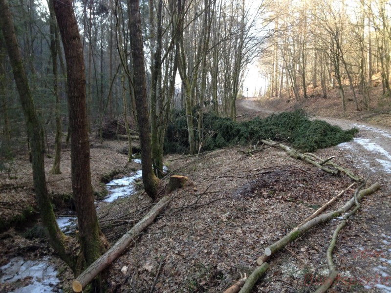 Bildla Nummera 066.jpg