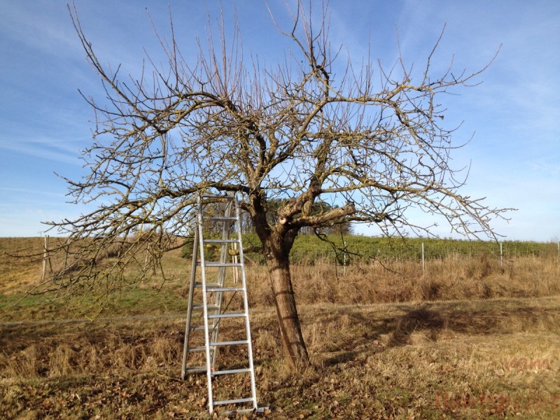 Bildla Nummera 069.jpg