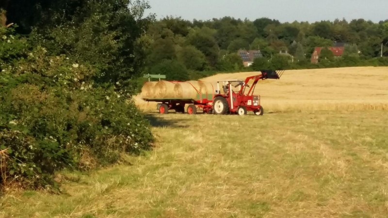 2016 12 28 048_bearbeitet-1.jpg