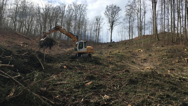 Fläche räumen4.jpg