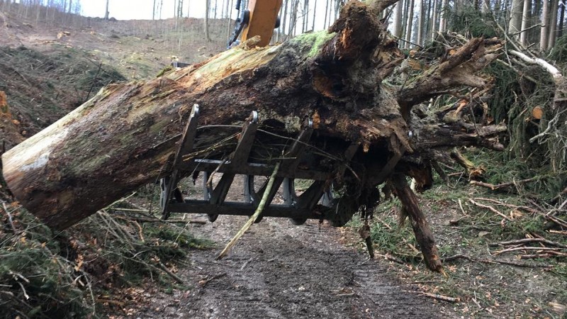 Flächen räumen2.jpg