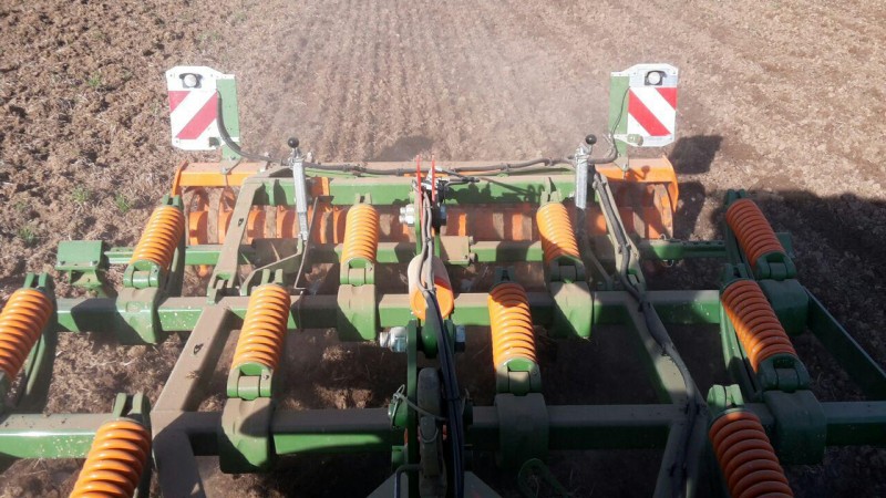 Cenius Saatbett Mais.jpg