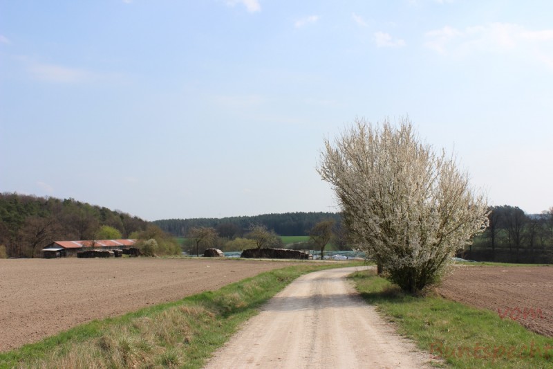 Bildla Nummera 001.jpg