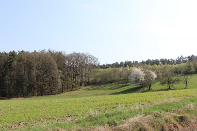 Bildla Nummera 003.jpg