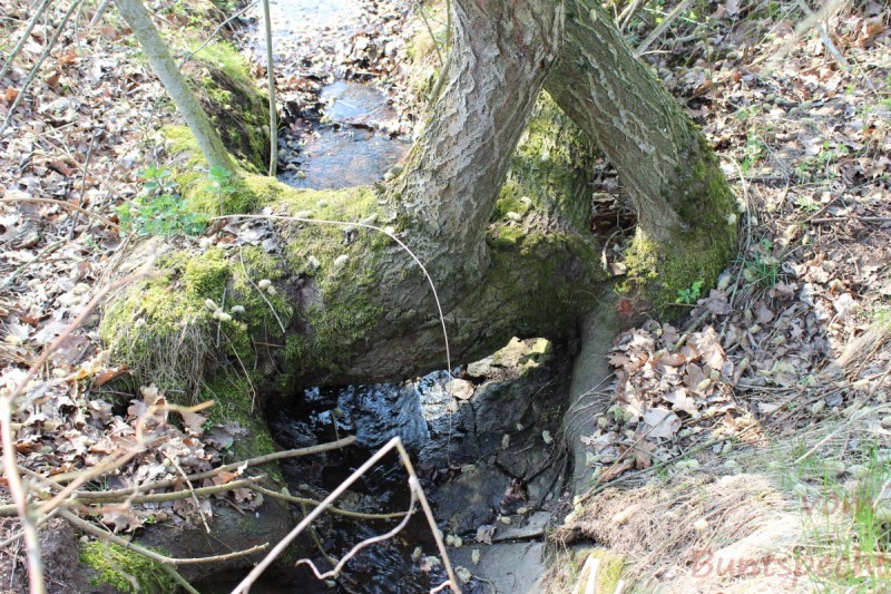 Bildla Nummera 011.jpg