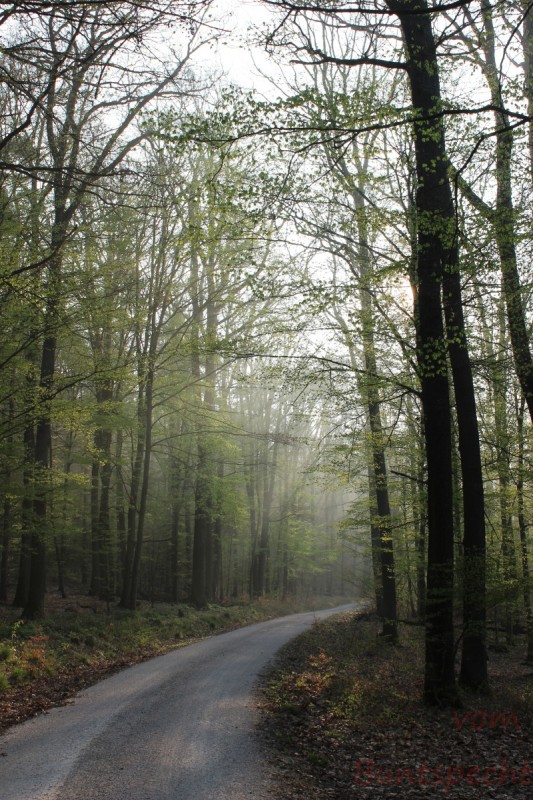 Bildla Nummera 001.jpg