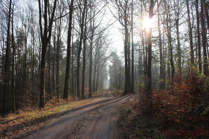 Bildla Nummera 012.jpg