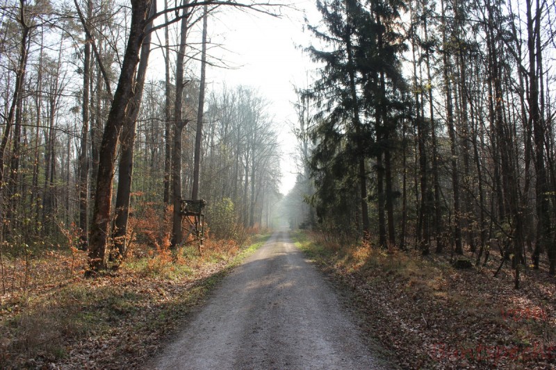 Bildla Nummera 014.jpg