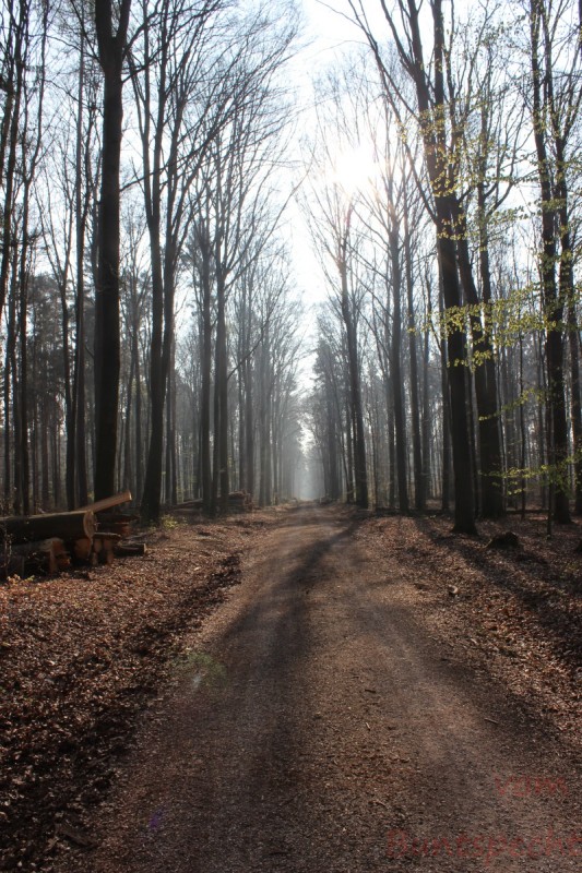 Bildla Nummera 018.jpg