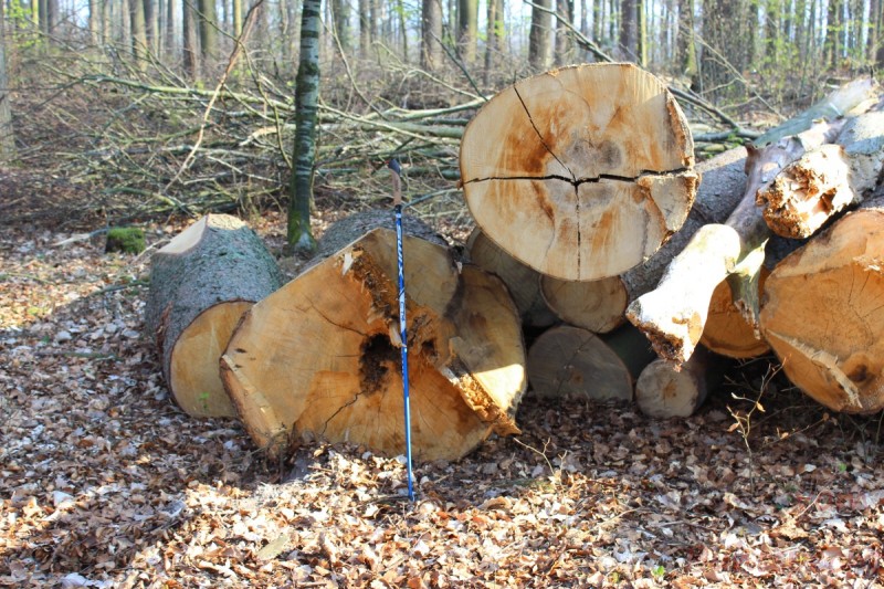 Bildla Nummera 019.jpg