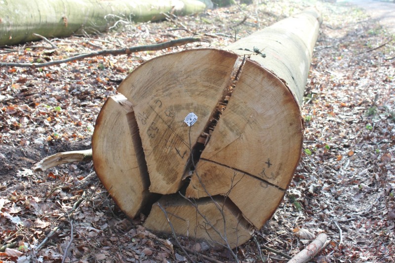 Bildla Nummera 022.jpg