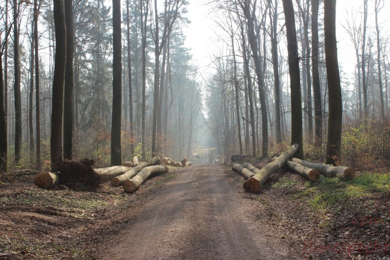 Bildla Nummera 023.jpg