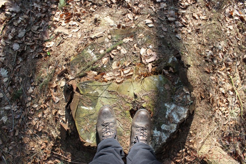 Bildla Nummera 025.jpg