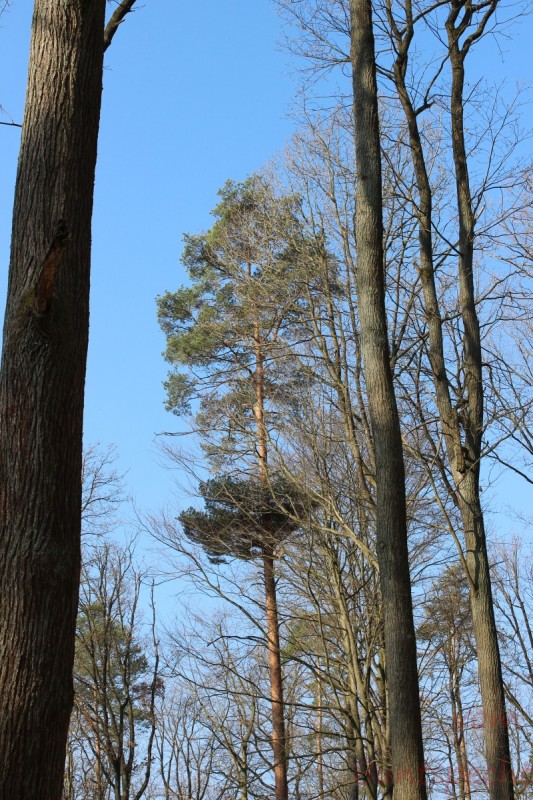 Bildla Nummera 027.jpg