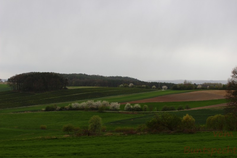 Bildla Nummera 006.jpg