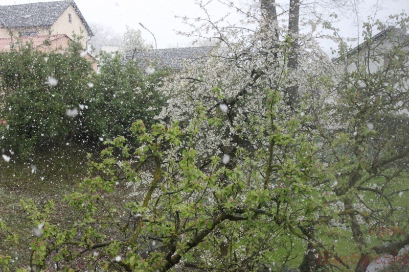 Bildla Nummera 001.jpg